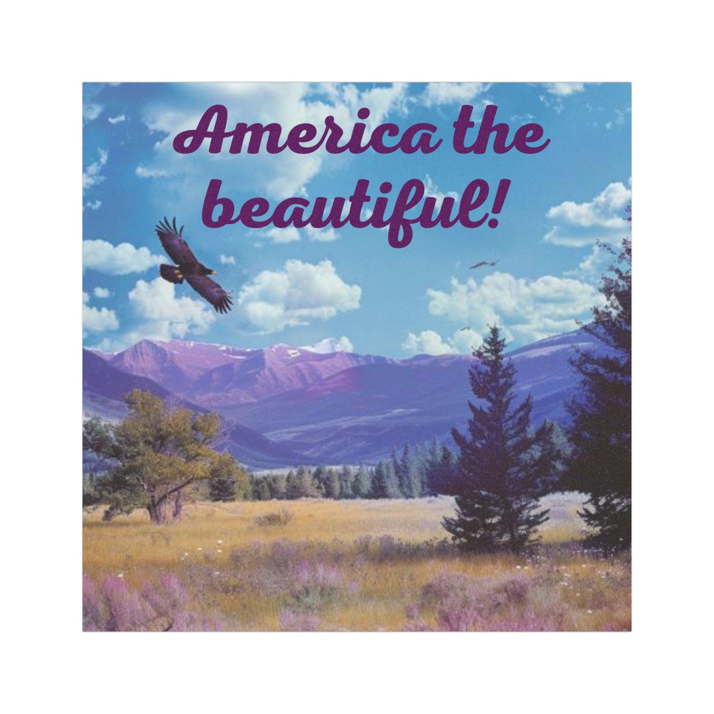 Car Magnets America the Beautiful